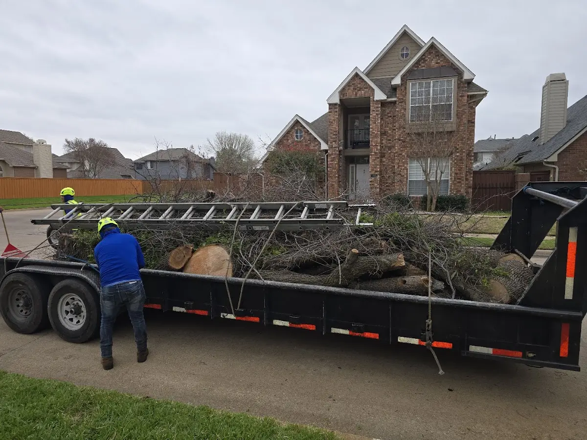 Expert Tree Fertilization with proper safety equipment in Ontario